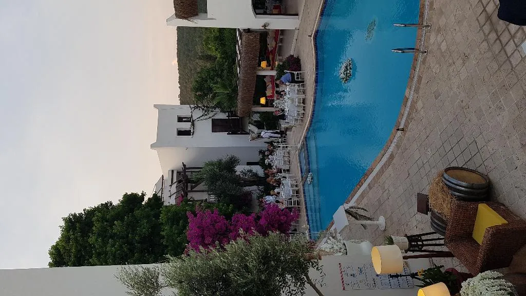 Pool, Ece Hotel Bodrum, Bodrum