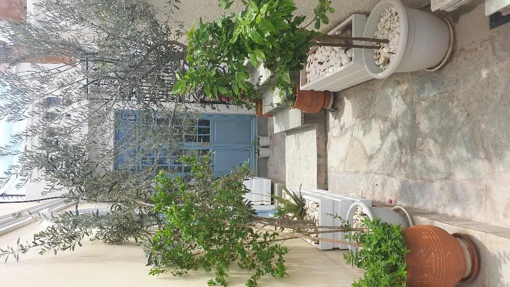 Terrace, Dionysos Poros, Kalamata
