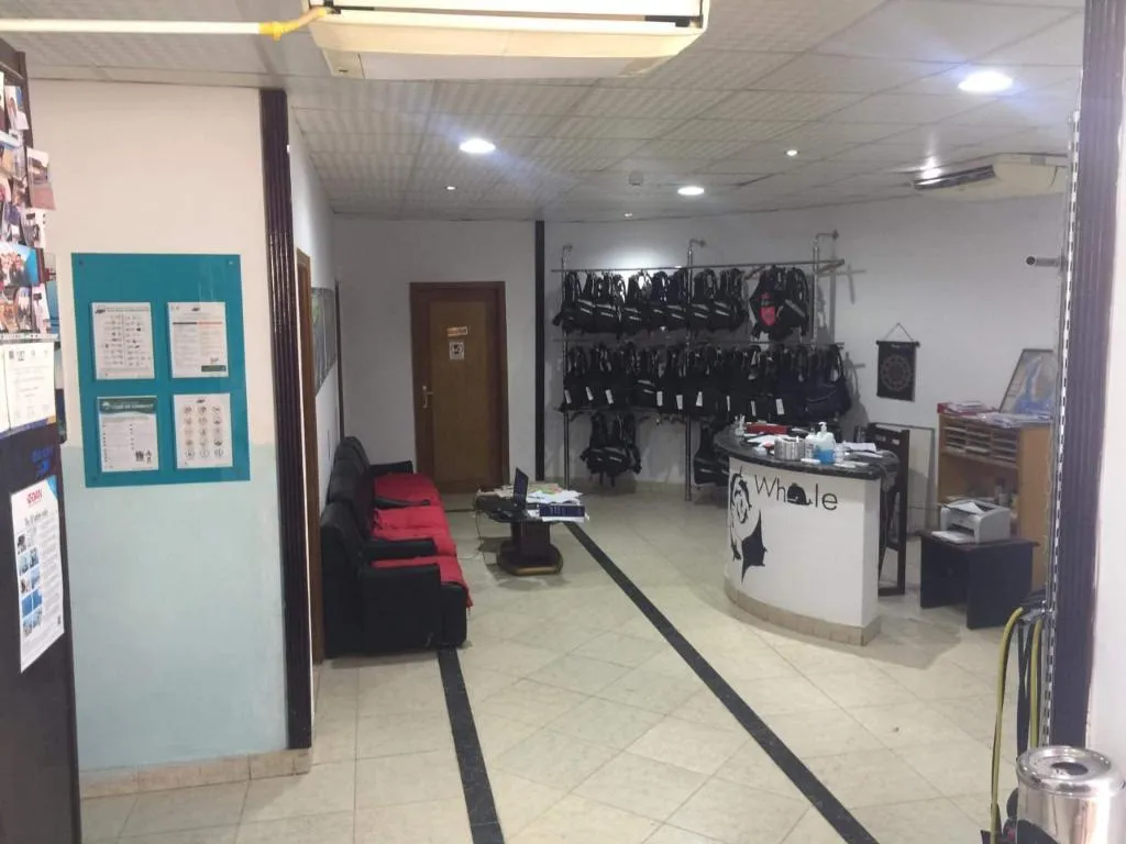 Sports and Entertainment, Dive Inn Resort, Red Sea Riviera