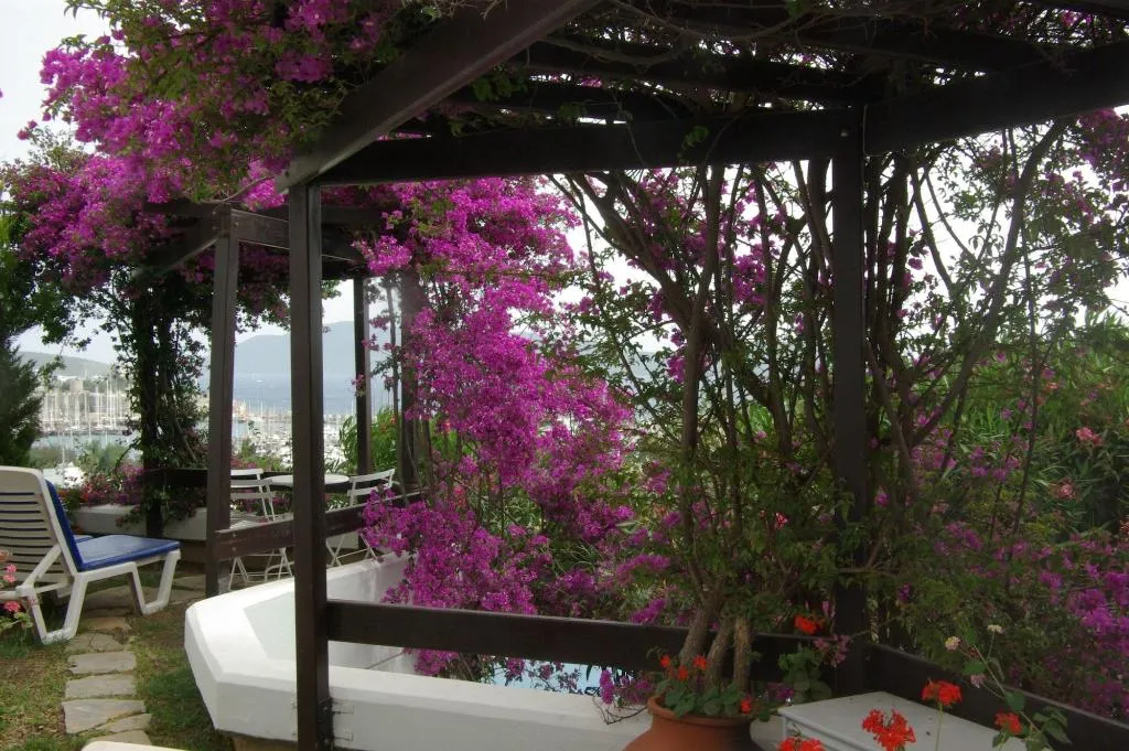 Terrace, Antique Theatre Hotel, Bodrum