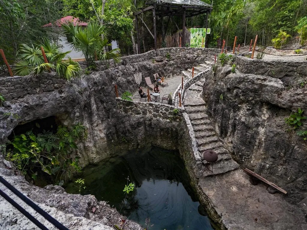 Terrace, Jolie Jungle, Cancun Area