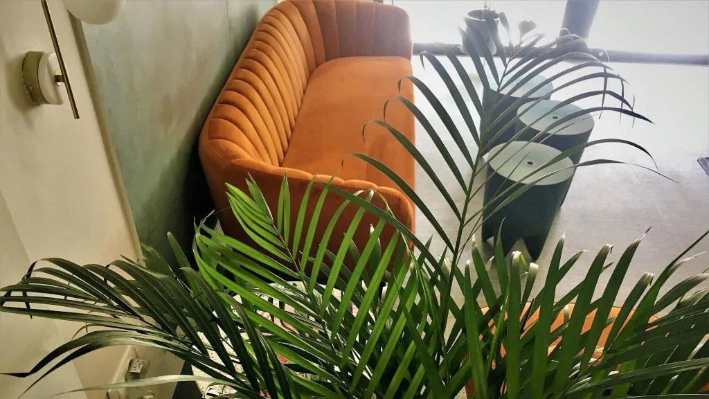 Lobby, B&B Mare de Deu Jardines del Turia, Valencia