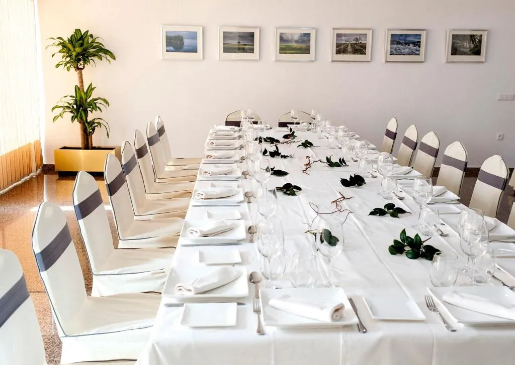 Conferences, Hotel Insula Barataria, Madrid