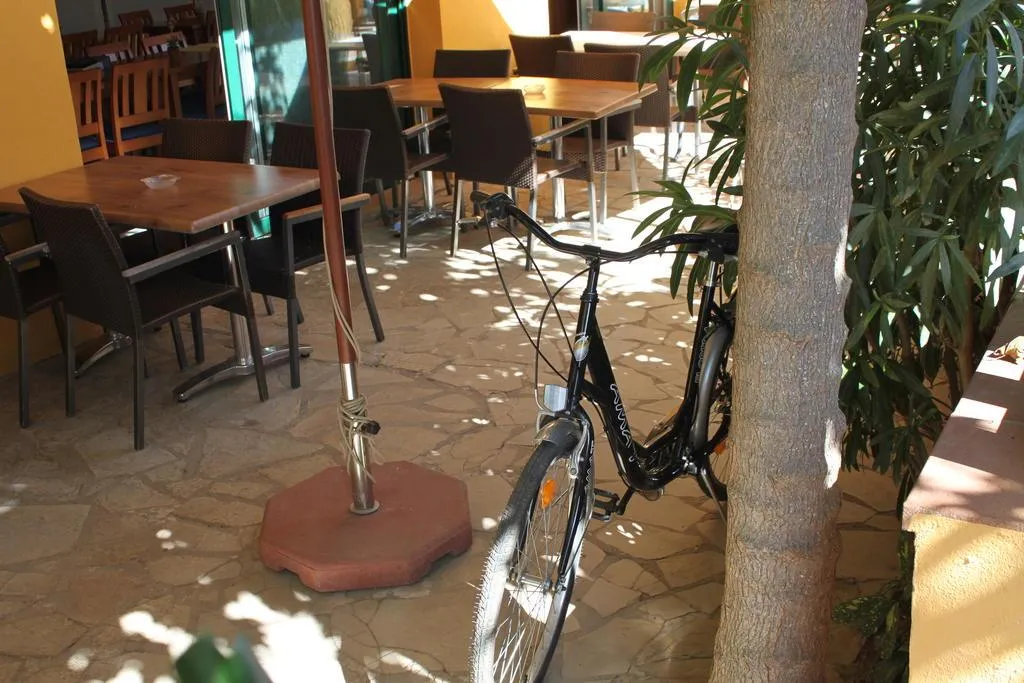 Bar, Picasso, Costa Brava