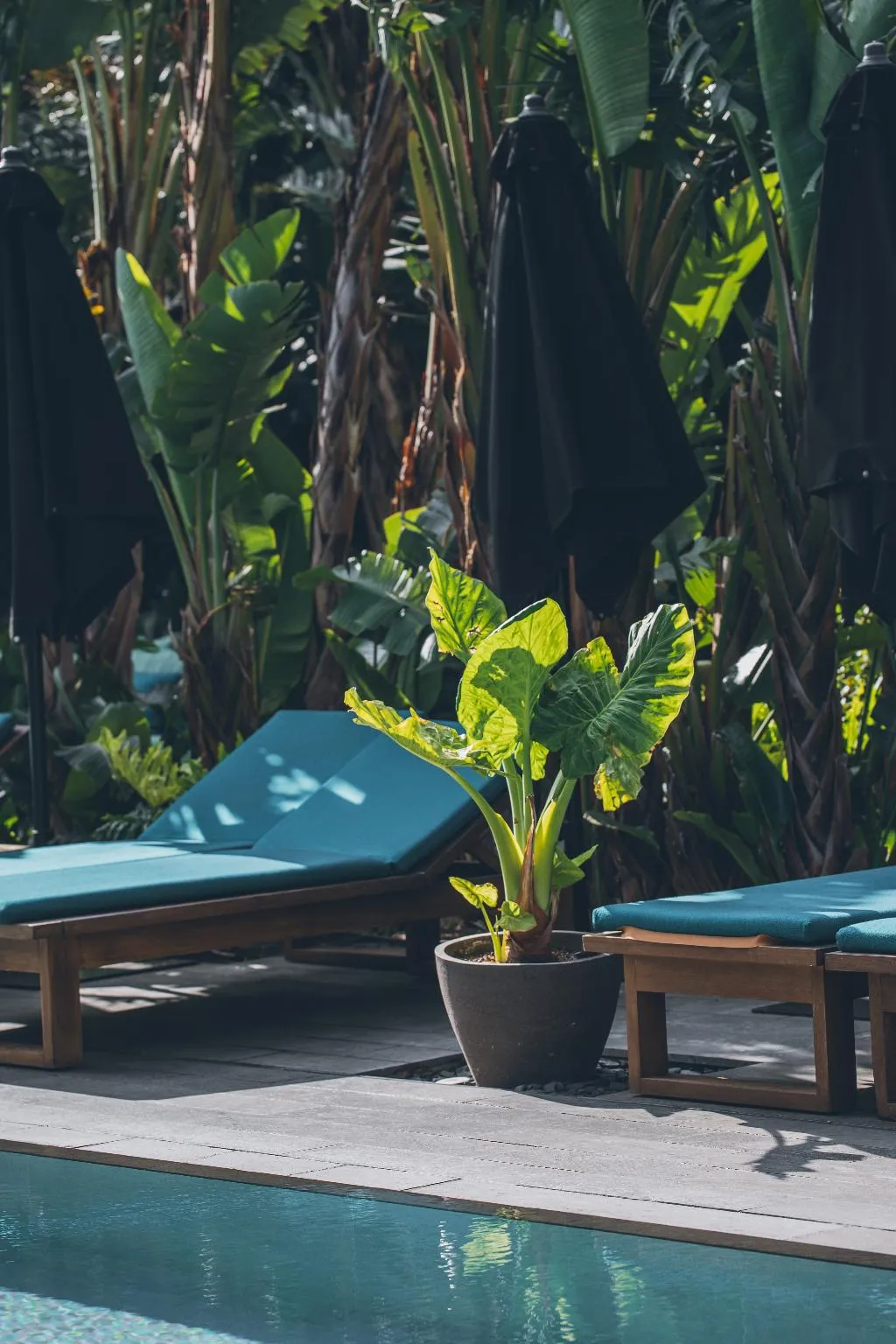 Pool, Grand Hyatt Barcelona, Barcelona
