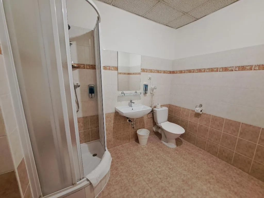 SINGLE ONE BEDROOM ONE BATHROOM Room, Legie, Prague