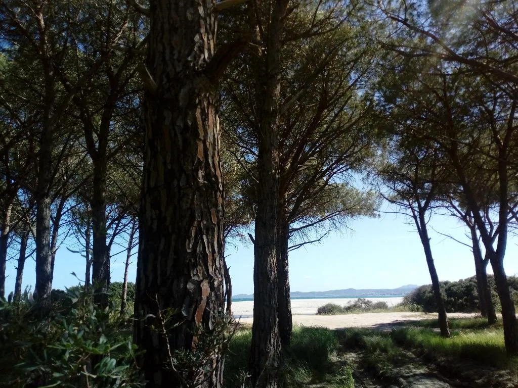 Beach, Hotel Velasole, Olbia