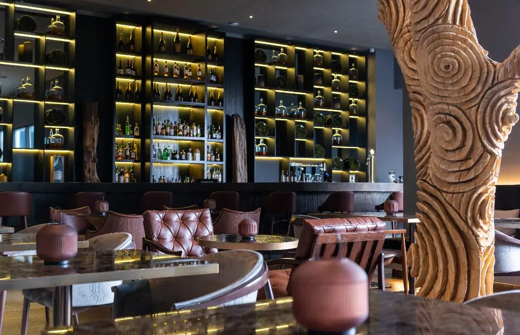 Bar, Hilton Porto Gaia, Porto