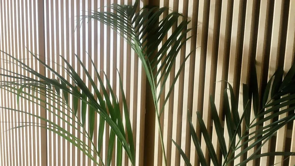 Lobby, B&B Mare de Deu Jardines del Turia, Valencia