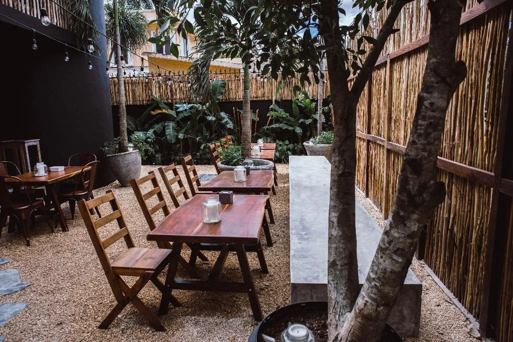 Restaurant, Aroma Tulum, Cancun Area