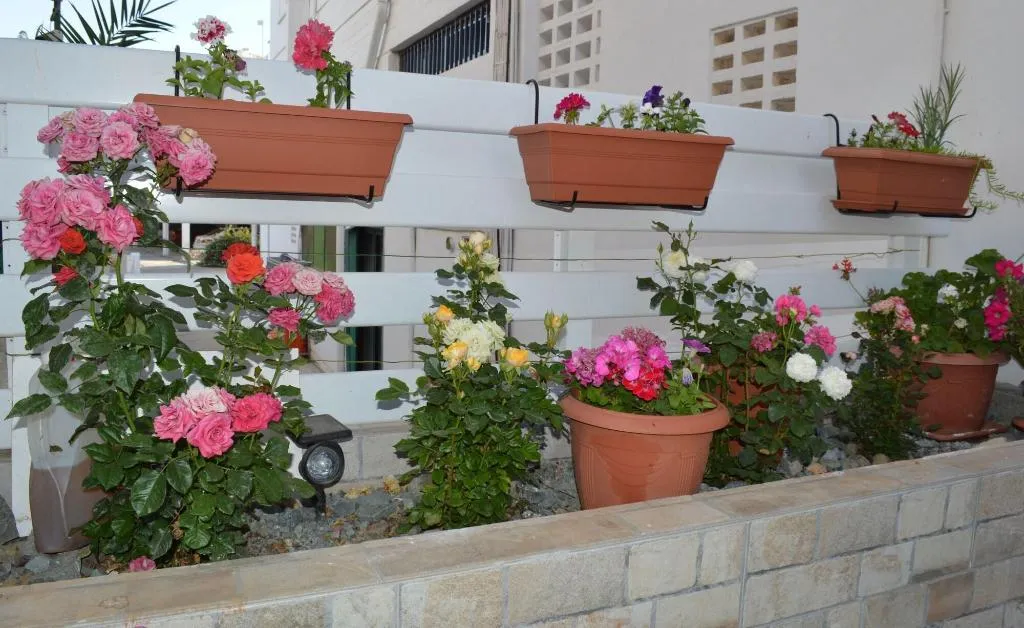 General view, Millie's Apartments, Cyprus