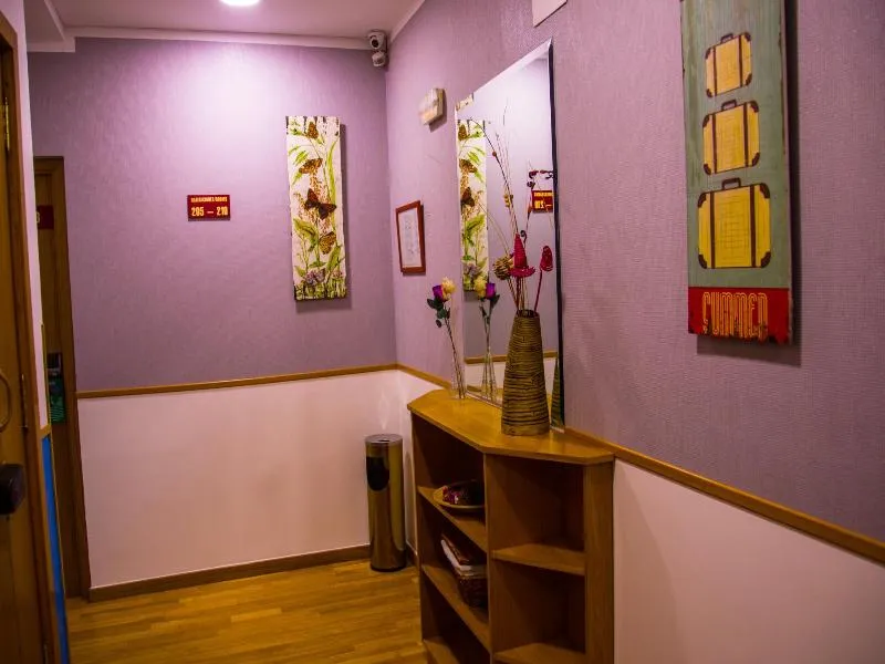 General view, Hostal Montaloya, Madrid