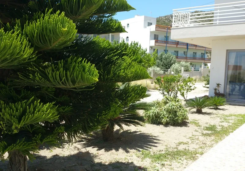 Terrace, Faliraki Dream Studios & Apts, Rhodes
