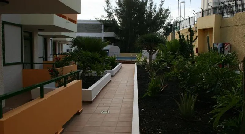 Lobby, Atis Tirma, Gran Canaria