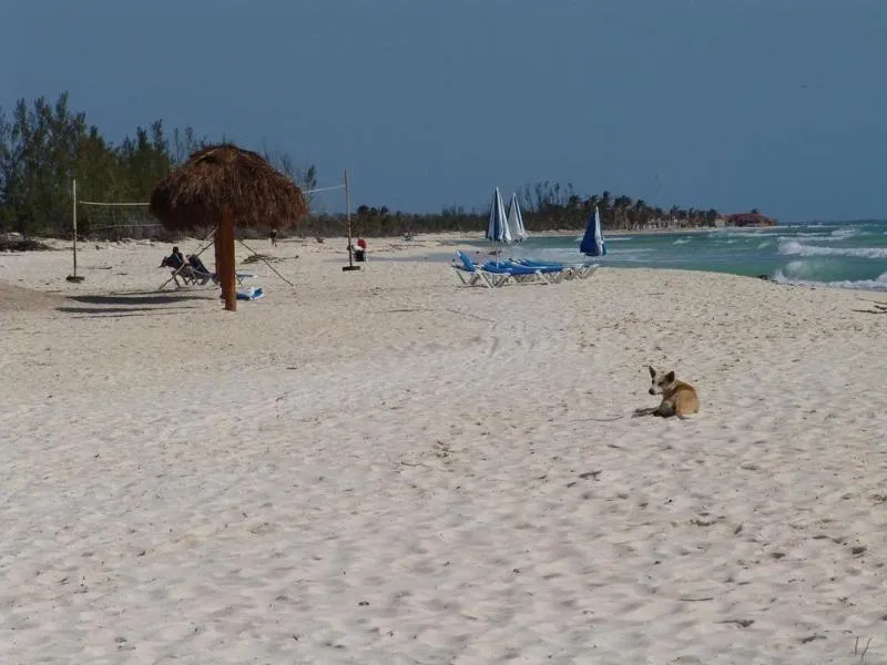 Beach, Cocos Cabañas, Cancun Area