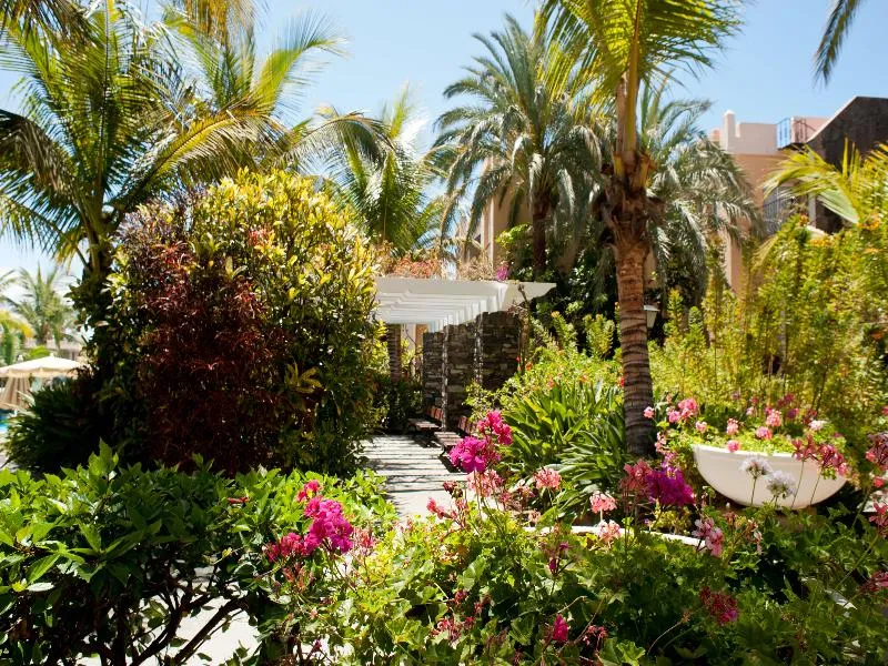 General view, Palm Oasis Maspalomas, Gran Canaria