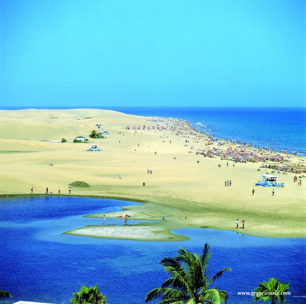 Beach, Seaside Palm Beach, Gran Canaria