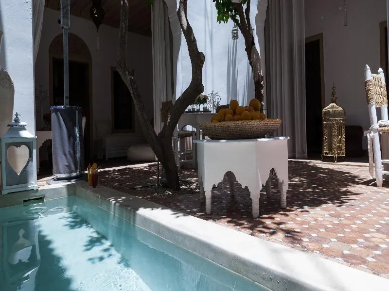 Pool, Riad Les Orangers D'Alilia, Marrakech