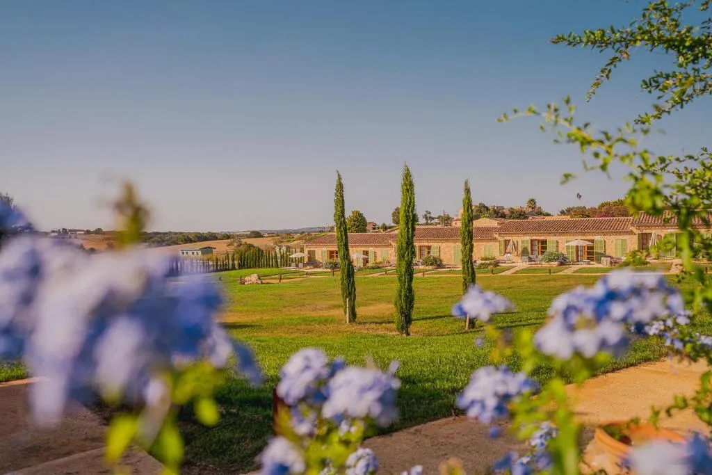 SUITE WITH TERRACE Room, Sa Franquesa Nova, Majorca