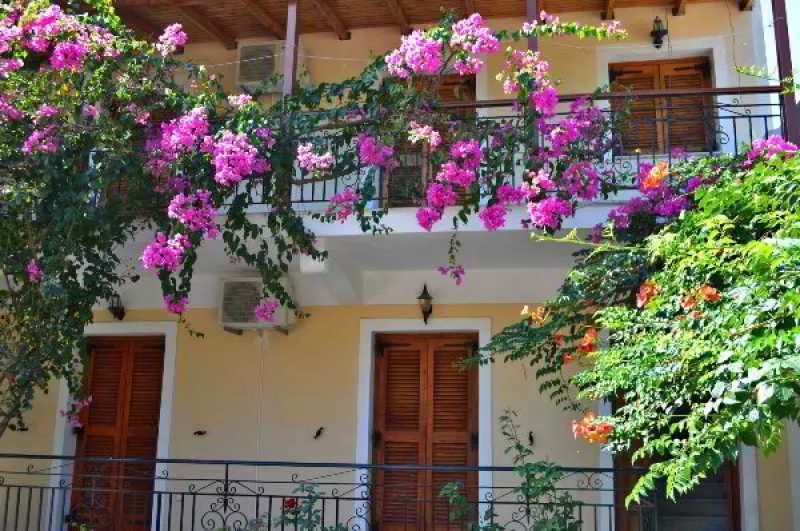 General view, Alykanas & Antonis Studios, Zante