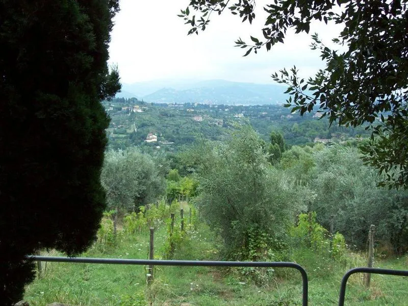General view, Fattoria Il Milione, Florence