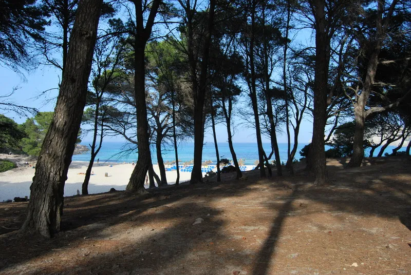 Beach, Hotel Can Moragues****, Majorca