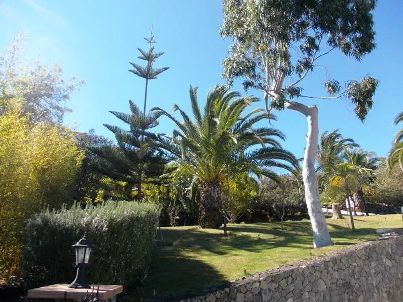 Terrace, La Palma Romántica, La Palma