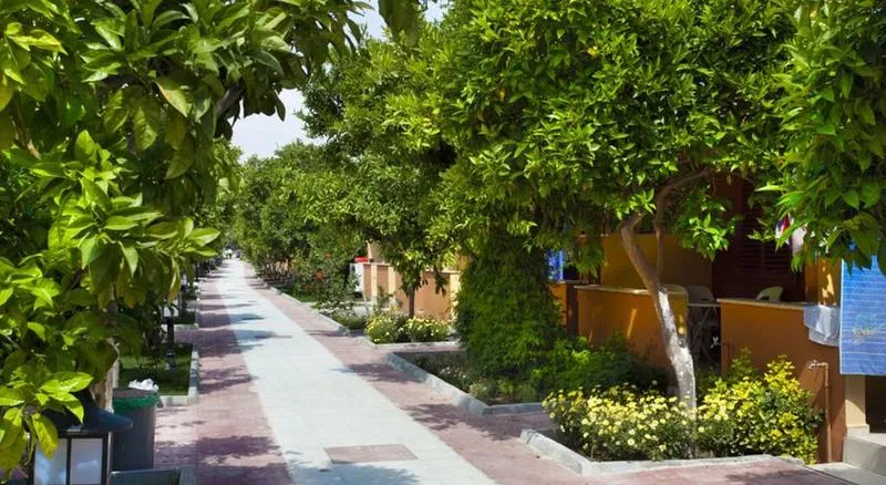 Terrace, Ozlem Garden, Antalya