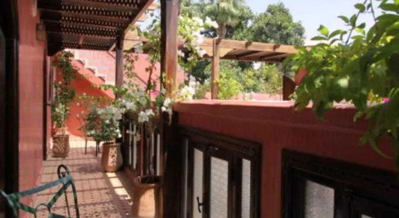 Terrace, Riad Balkisse, Marrakech