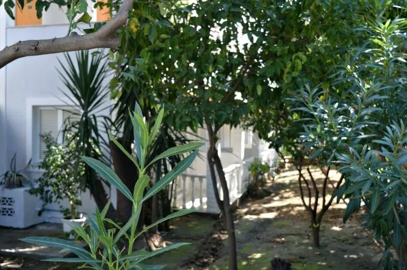 General view, Chryssi Akti / Paradise, Zante