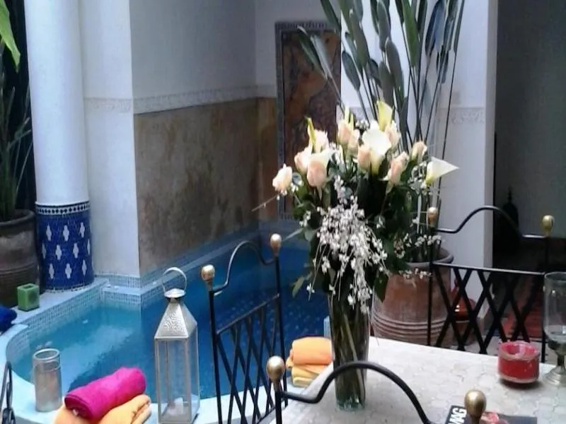 General view, Riad Aloes, Marrakech