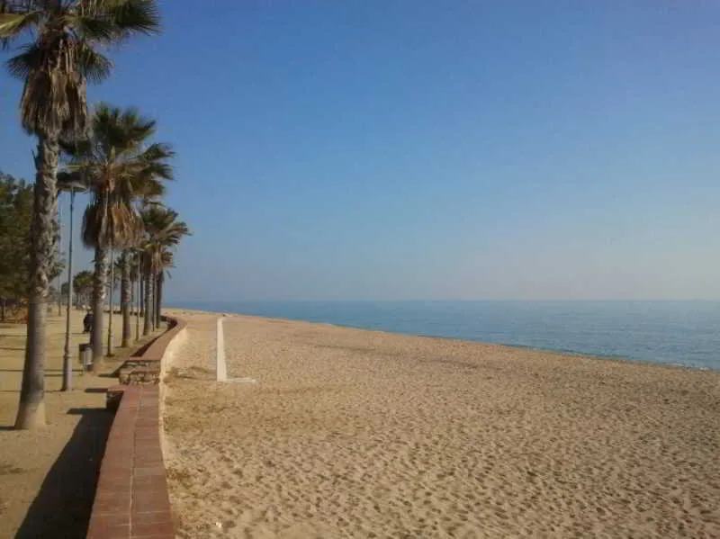 General view, Mitus, Barcelona