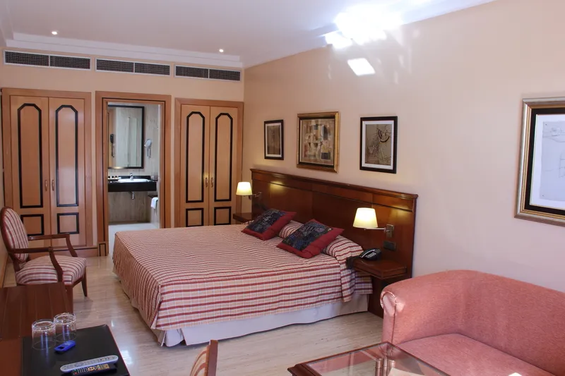 DOUBLE SINGLE USE STANDARD Room, Villa Vik Hotel Boutique, Lanzarote