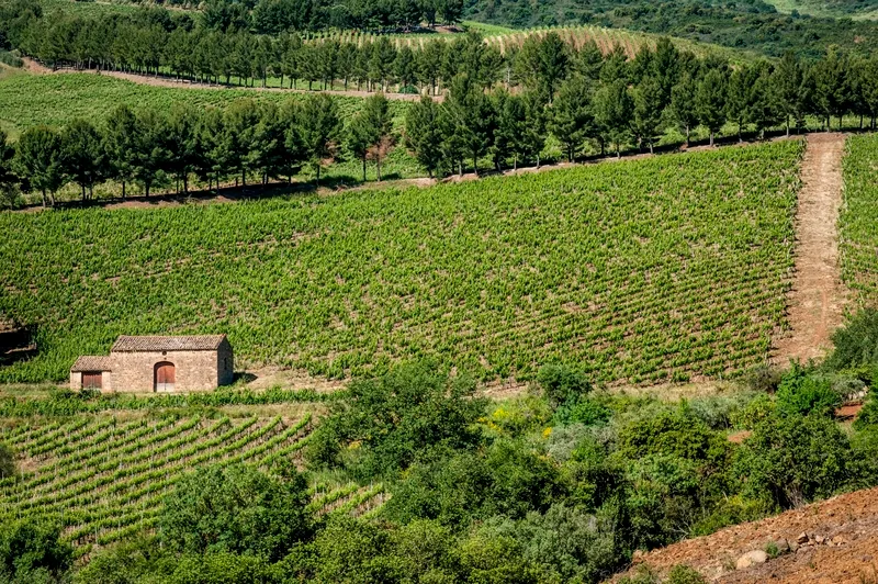 General view, Abbazia Santa Anastasia Relais & Winery, Palermo