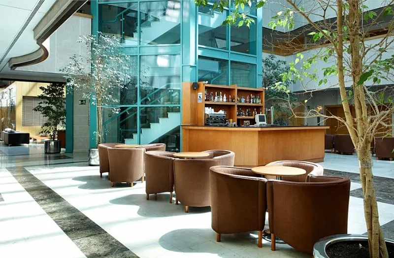 General view, Exe Gran Hotel Almenar, Madrid