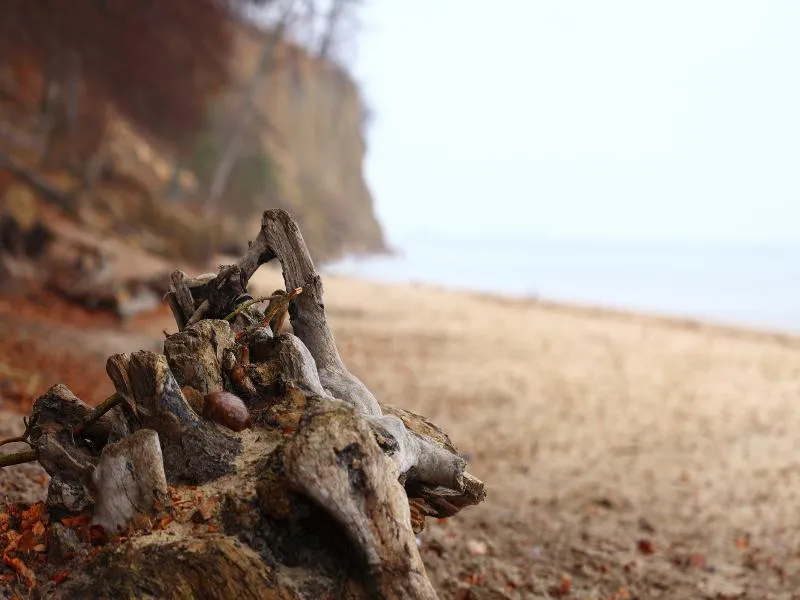 Beach, Relais & Chateaux Hotel Quadrille - Adults Only, Gdansk