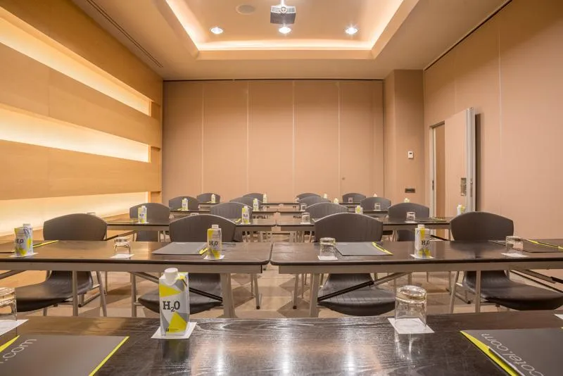 Conferences, Sercotel Pozuelo, Madrid