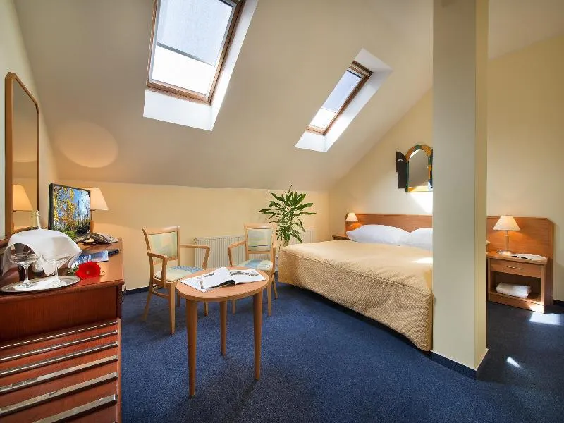DOUBLE STANDARD Room, EA Hotel Tosca, Prague
