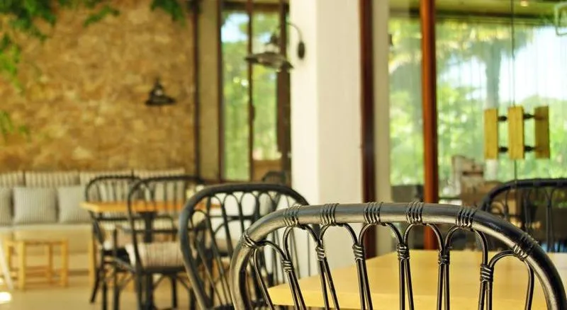 Bar, Alga, Costa Brava