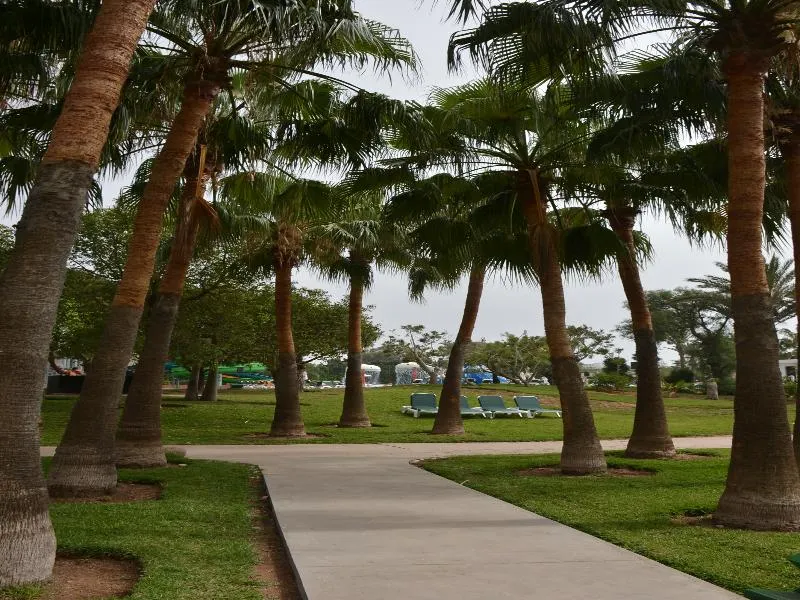 General view, Valeria Les Jardins D´Agadir, Agadir
