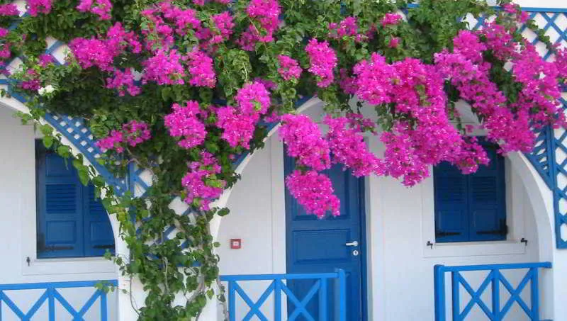 General view, Margarenia, Santorini