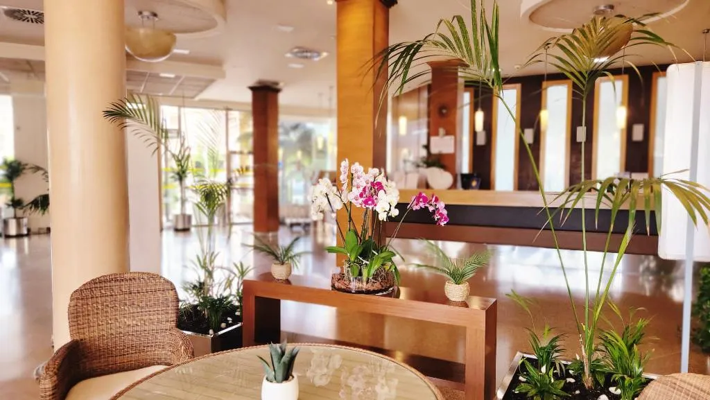 Lobby, Costa Narejos, Costa Blanca