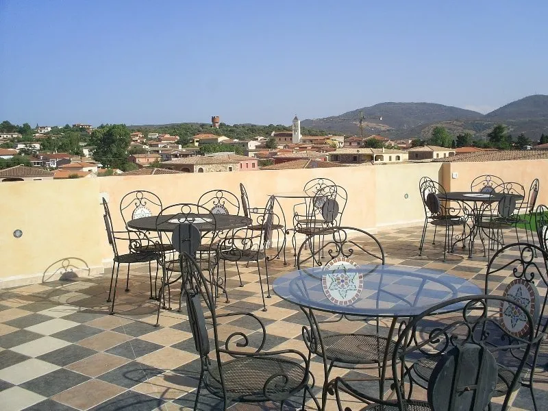 Terrace, Bonsai, Olbia