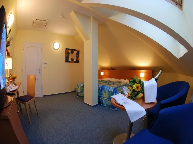 DOUBLE STANDARD Room, EA Hotel Tosca, Prague