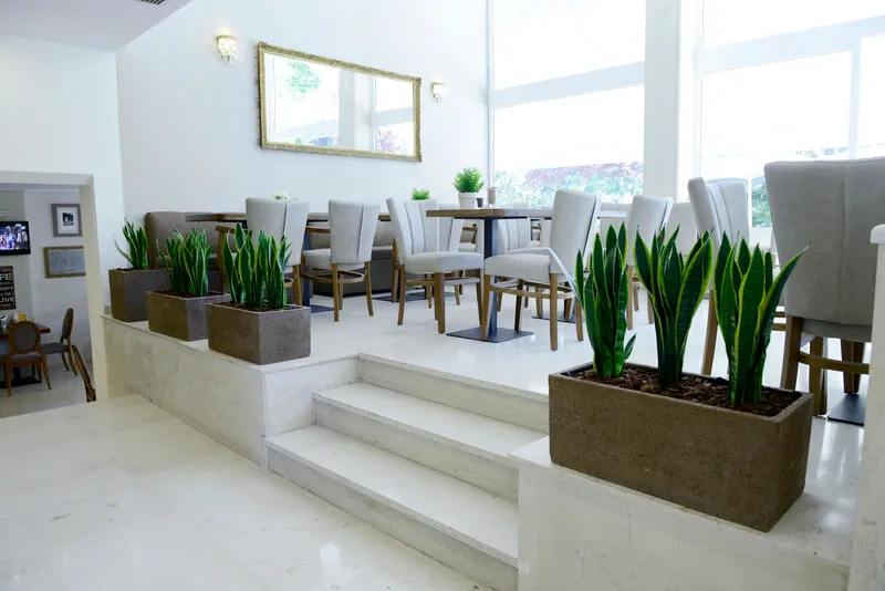Lobby, Phidias Hotel by Oniro, Athens
