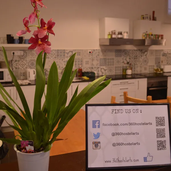 Sports and Entertainment, 360 Hostel Barcelona Arts&Culture, Barcelona
