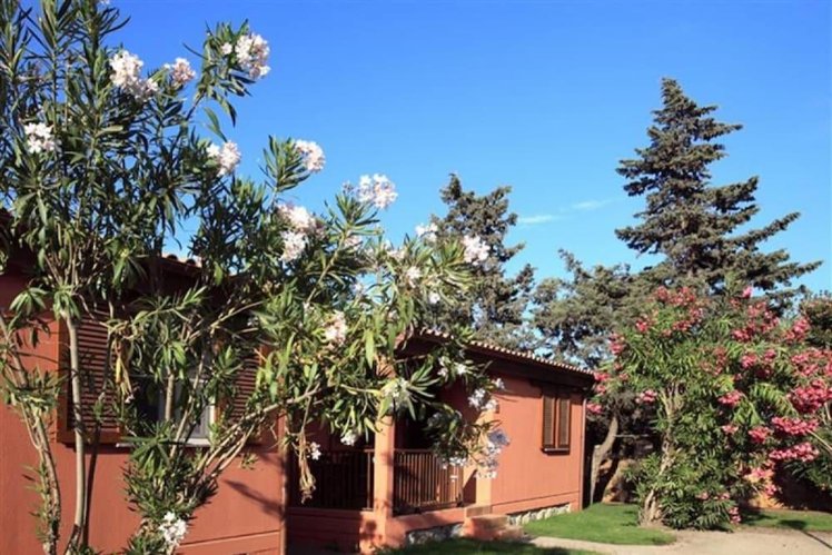 Club Degli Amici Camping Village, Rome