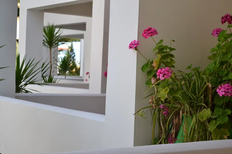 Room, Hotel Palladion by Anayia All Inclusive Resorts, Crete