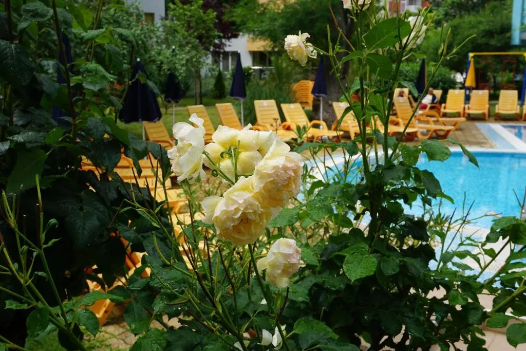 General view, MNG Holiday Apartments, Bourgas