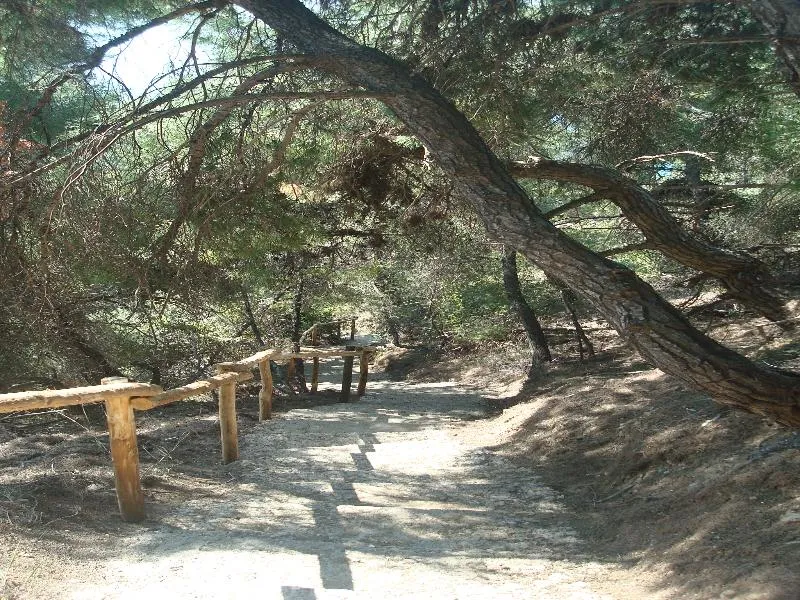 Beach, Thea Hotel, Halkidiki